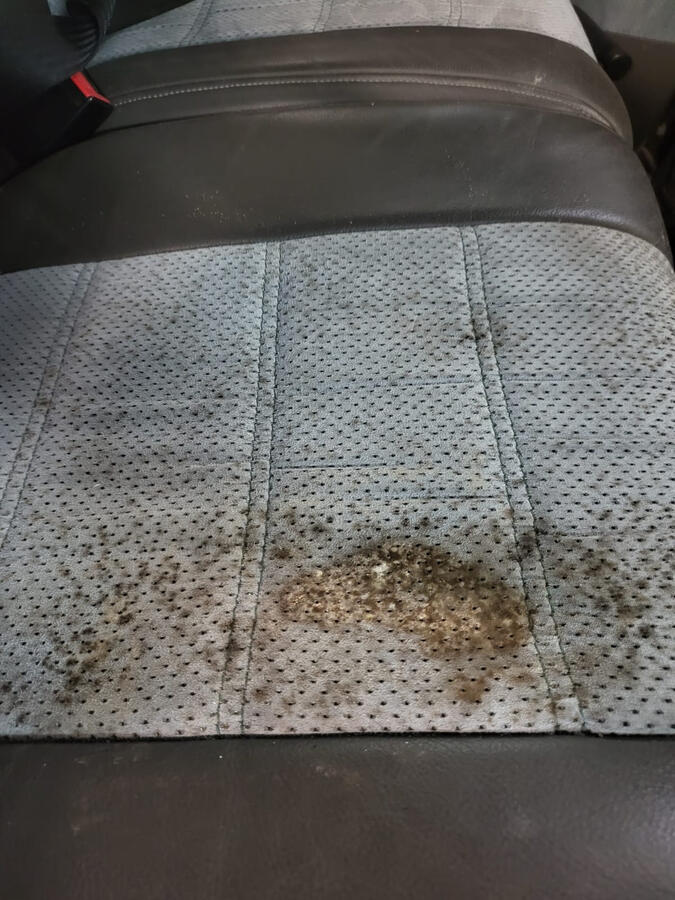 Antes da limpeza de estofos